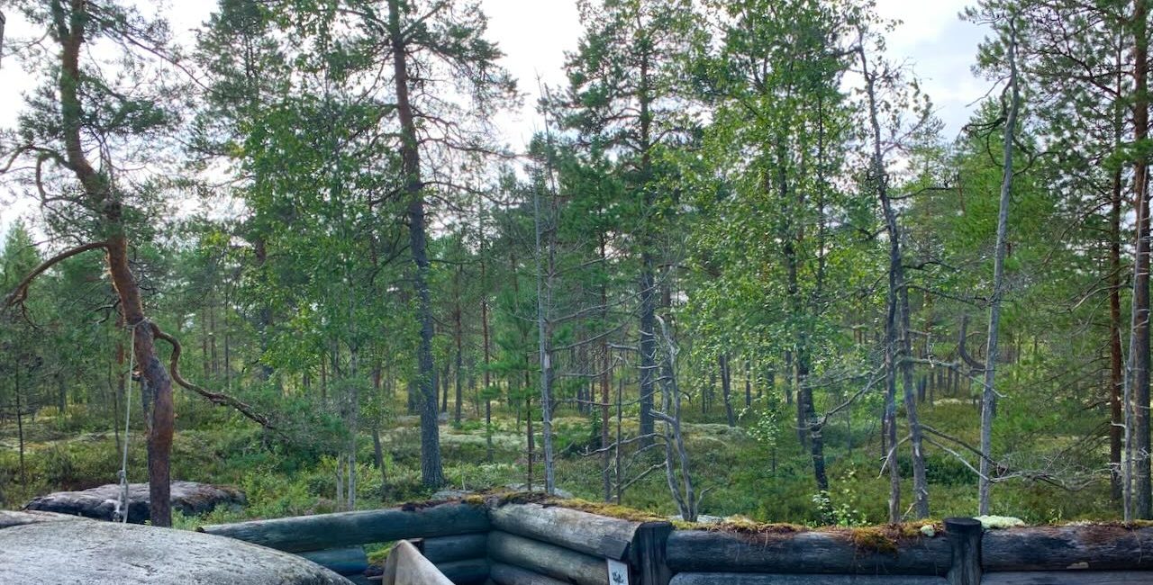 Fäboda Pietarsaari. Kuva: Raija Brännbacka