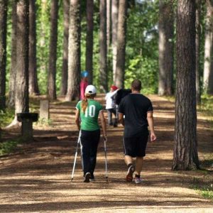 Saarijärven asukkaiden sydänmetsä Mannilan männikkö. Kuva: Matti Raivola, Saarijärven museon kuva-arkisto.
